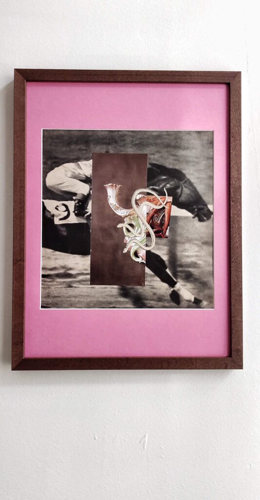 Snakes and Horses