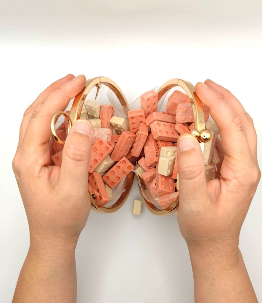 Bag Bric — shown in hand for scale